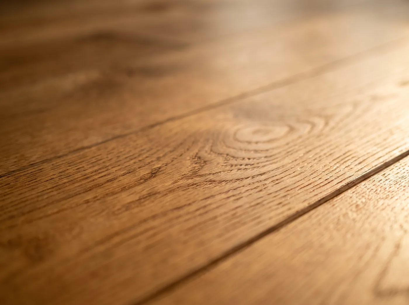 Close-up of freshly refinished oak hardwood grain in a warm satin finish